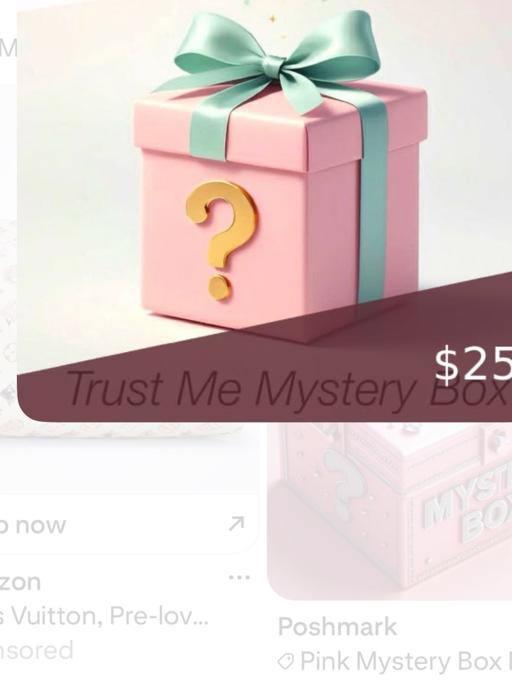 $25 Mystery Gift Box - 🎁 $50 of product .
